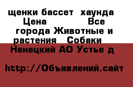 щенки бассет- хаунда › Цена ­ 20 000 - Все города Животные и растения » Собаки   . Ненецкий АО,Устье д.